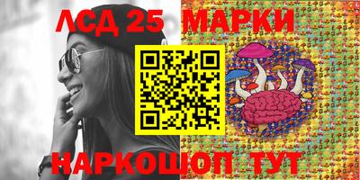 спиды Сланцы