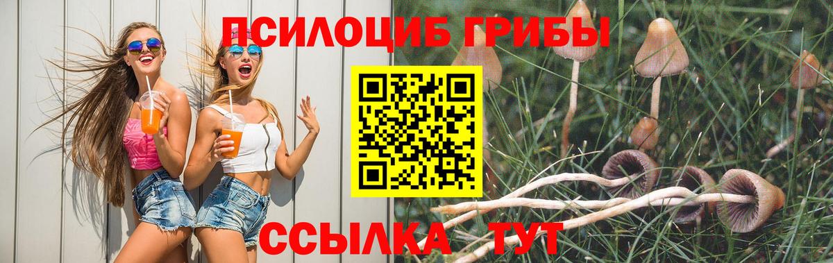 Псилоцибиновые грибы Magic Shrooms  где можно купить наркотик  Первоуральск  Вход с VPN  Псилоцибиновые грибы мухоморы 